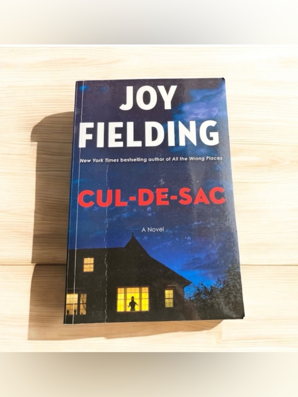 'Cul-de-Sac' Paperback Novel Joy Fielding Psychological Thriller Book Fiction
